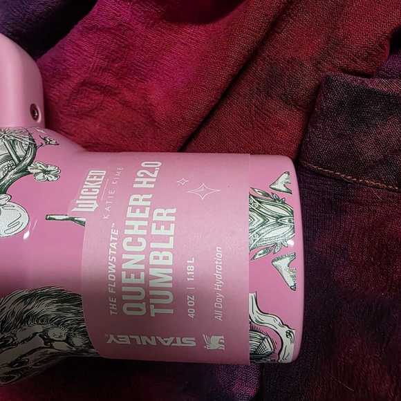 Target x Stanley Wicked For Good FlowState Quencher Tumbler 40 Oz Ozian Reprise - Picture 6 of 8